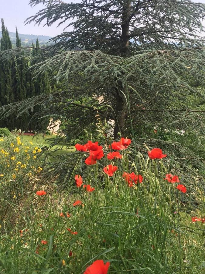 Bed and Breakfast Casale Sant'Elia Capranica Экстерьер фото