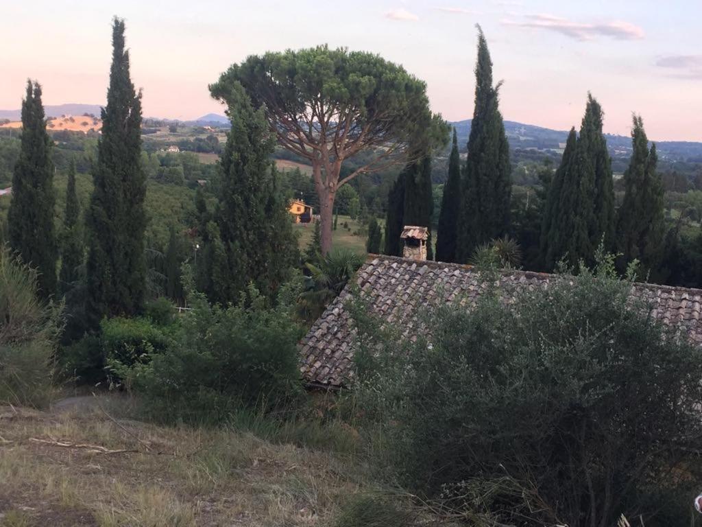 Bed and Breakfast Casale Sant'Elia Capranica Экстерьер фото